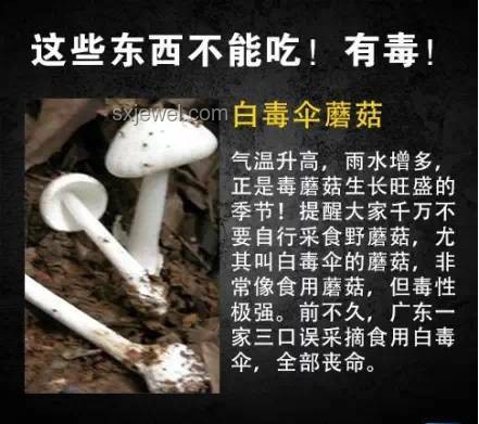 食品安全警钟：68岁阿姨隔夜白木耳中毒事件深度剖析